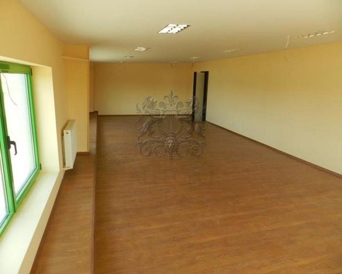 Hala | Soseaua Odai | Mogosoaia | (350 mp depozit / 236 mp birou) - 3