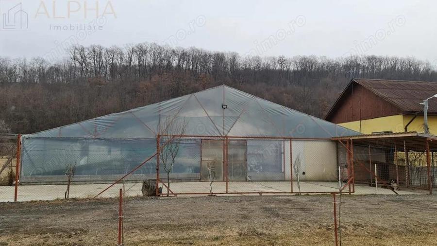 AFACERE LA CHEIE HALA PRODUCTIE + SERA PROFESIONALA - 9