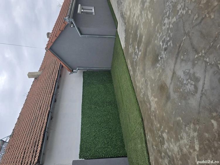 Vand casa cu gradina in Ciumeghiu - 8