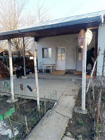 Casa in Com Chiselet Jud Calarasi - 10