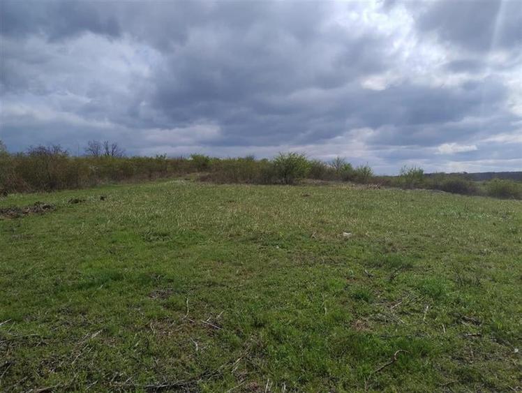 RECO Teren intravilan, Paleu - 1