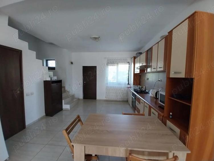 Casa de inchiriat Domnesti - 9