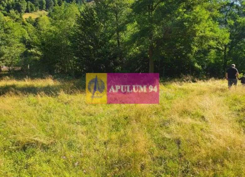 Teren Jude?ul Valcea - Brezoi, Valea lui Stan - 6