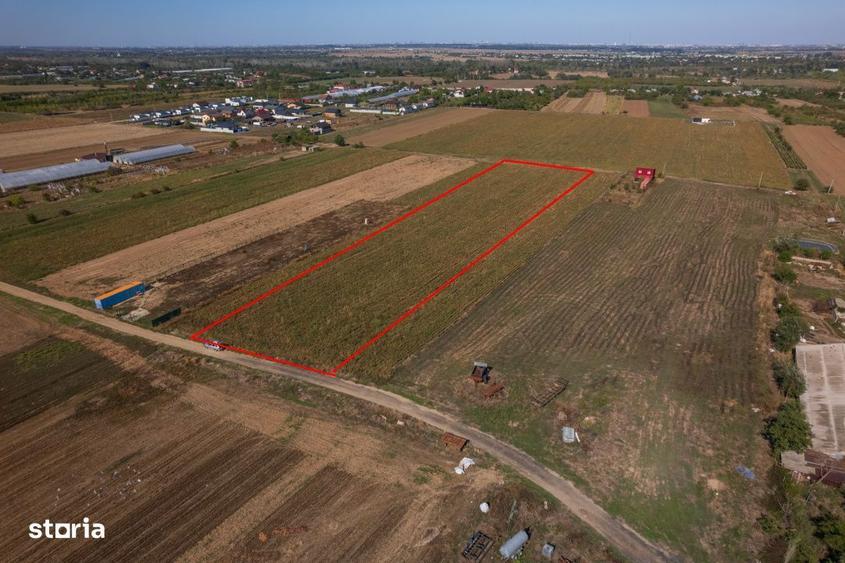 Adunatii Copaceni - Troitei | teren 6 525 mp | zona in dezvoltare - 5