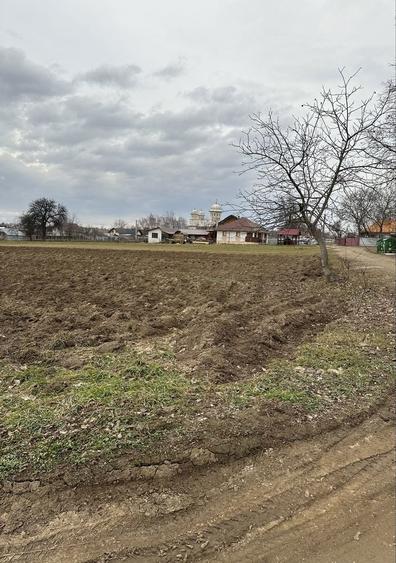 Teren intravilan in Mitocasi - 5