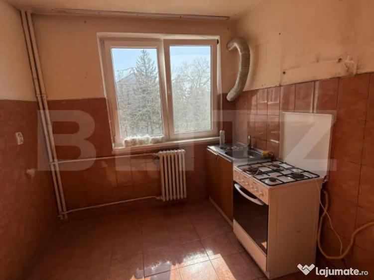 Apartament cu 3 camere, etaj intermediar, zona Tribunal - 10