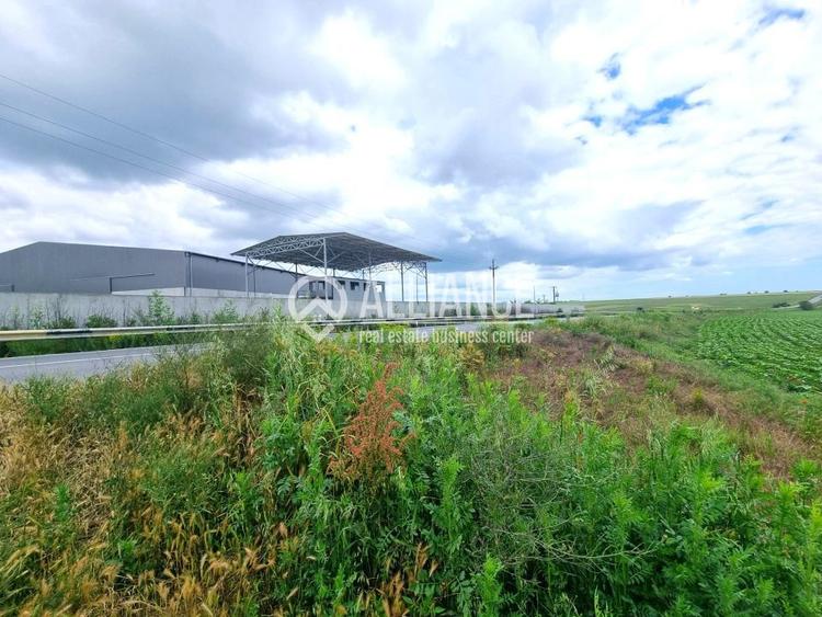 OVIDIU (COD 02)  - teren extravilan 4000 mp - 4