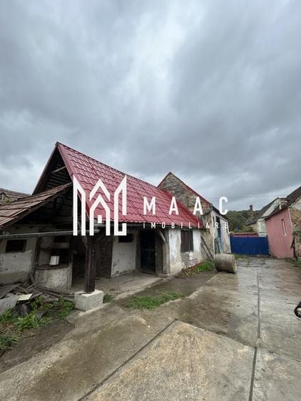 BLACK FRIDAY I Casa 3 camere I 1000 mp Teren I Amnas - 1