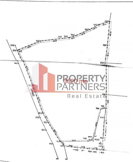 Teren Bran | 3.520 mp | Vedere Bucegi & Castelul Bran - 5