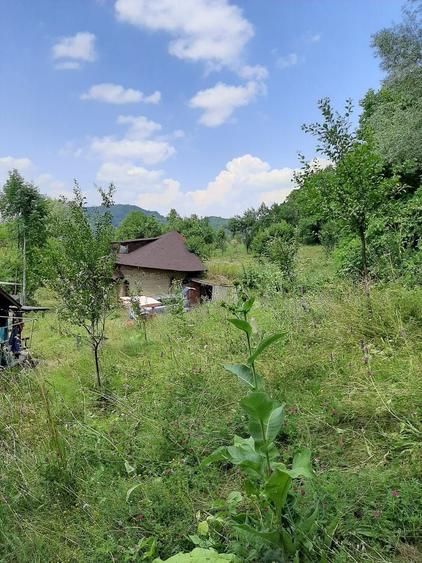 Proprietate pe Valea Vâlsanului – Cabane din lemn + Casă ecologică COB - 8