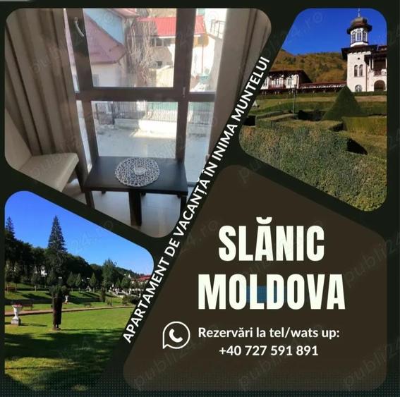 Oportunitate apartament vacan?a, investi?ie ?i activitate - 2