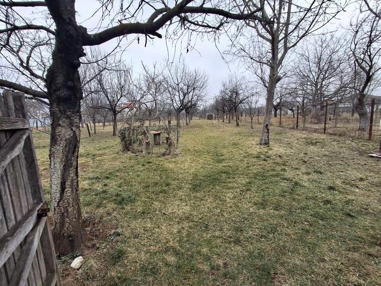 Vila P+1  Ploiesti - Paulestii Noi - 51