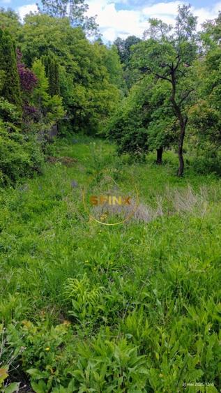 Teren intravilan de vanzare in Breaza – Strada Primaverii - 6