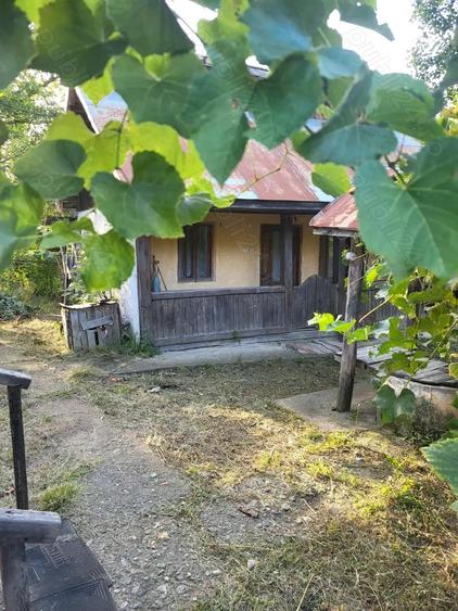 Casa de vanzare la tara - 2