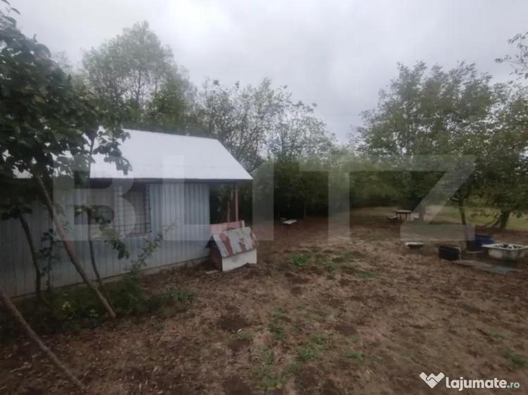 Cabana + teren intravilan, 50 ari, oras Beclean - 4