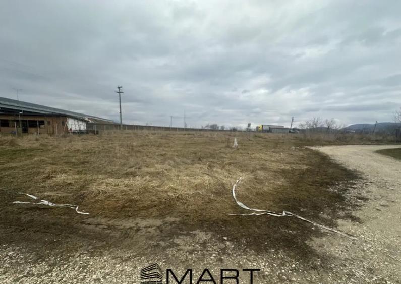 Teren Intravilan 1000 mp Rasnov - 4