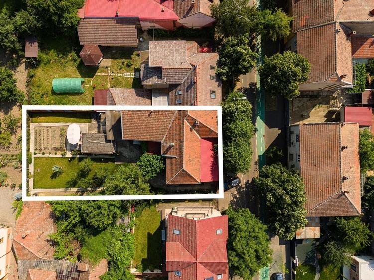 Locul în care ai vrea să fii acasă – Elisabetin - 36