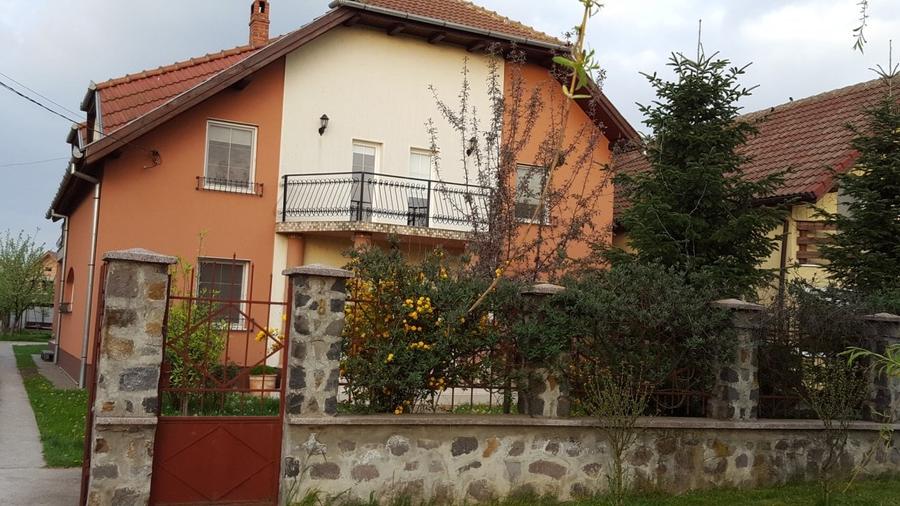 Sanandrei central casa vila 2-3 familii 280 mp-600 mp teren - 10