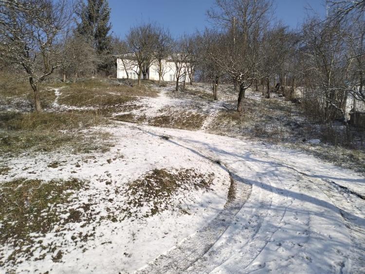 Moșia boierească din vârf de deal, Scorțeni - Prahova, comision 0% - 2