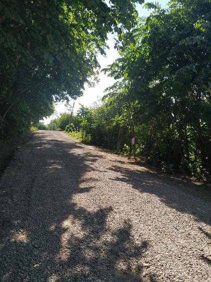 Vand teren intravilan Gheorghe Doja - 1