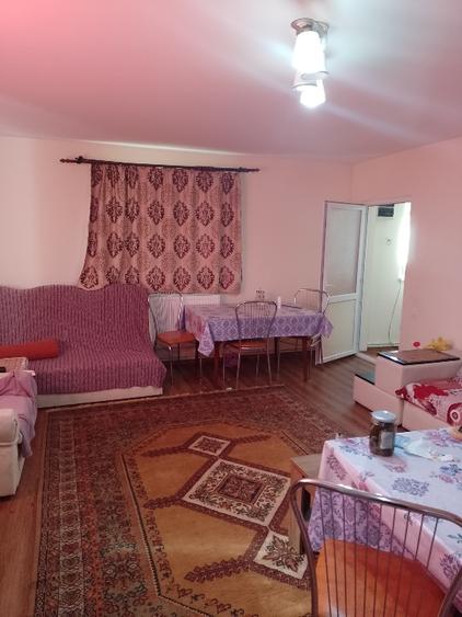 Casa de vânzare în comuna Romanu - 10