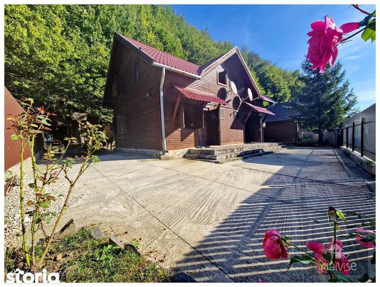 Casa de vacanta- Valea Bozomului, Brasov - 11