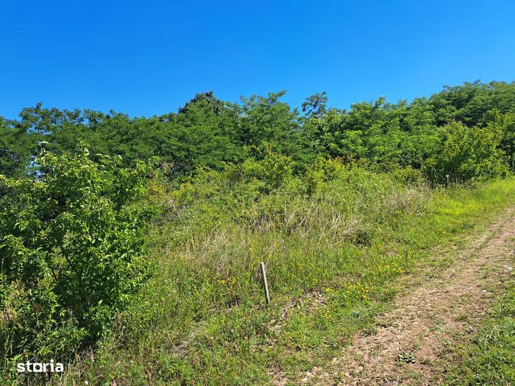 Teren intrvilan in Ciugud -Drambar - 5