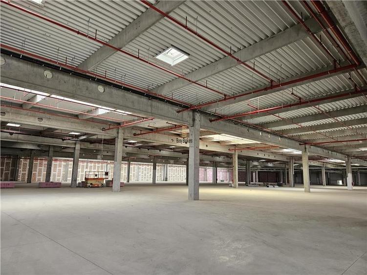 Spatiu Industrial - 7000 mp - Logistica - Productie - Depozitare - Distributie - 1