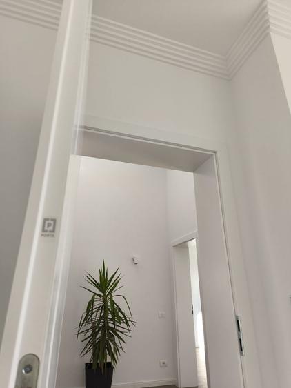 Casa individuala pe parter Sanandrei-comision 0 - 19