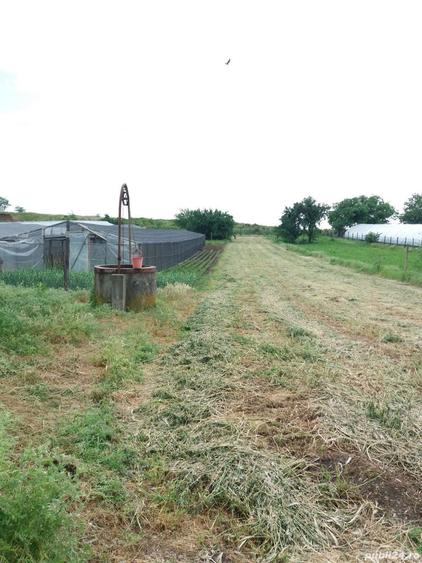 Vand casa! In Poiana Mare,Dolj! - 1