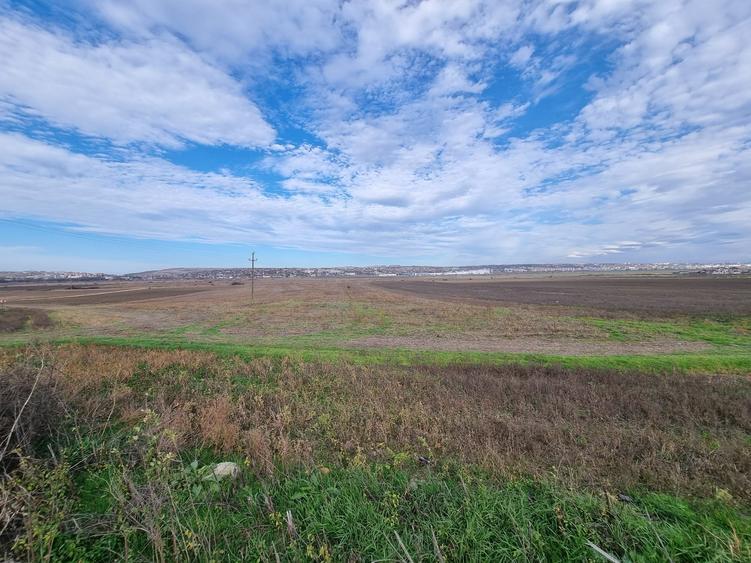 Teren 1 Ha - Gaureni, Miroslava - Zona Mall Moldova - 6