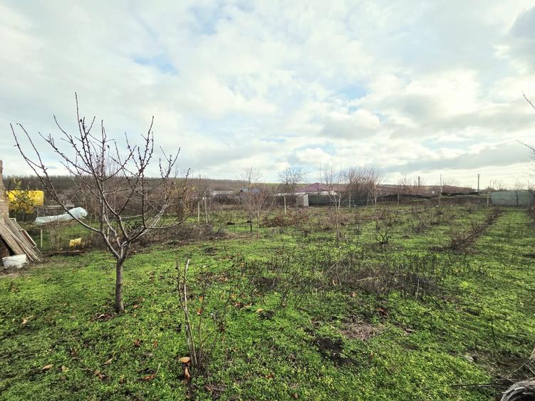 Casă pe structură de lemn Construcție modernă, eficientă și durabilă la Schela - 3