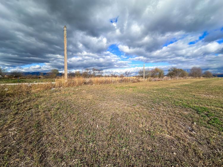 Teren Halchiu 5000 mp cu utilitati si puz - 1