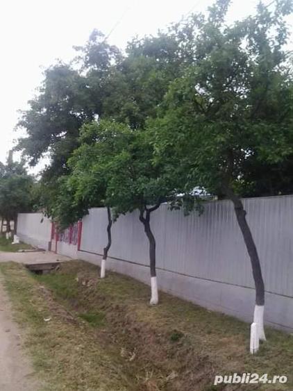 Casa la Tara .La 15 Km. de Panciu Jud. Vrancea. Comuna Clipicesti . - 2