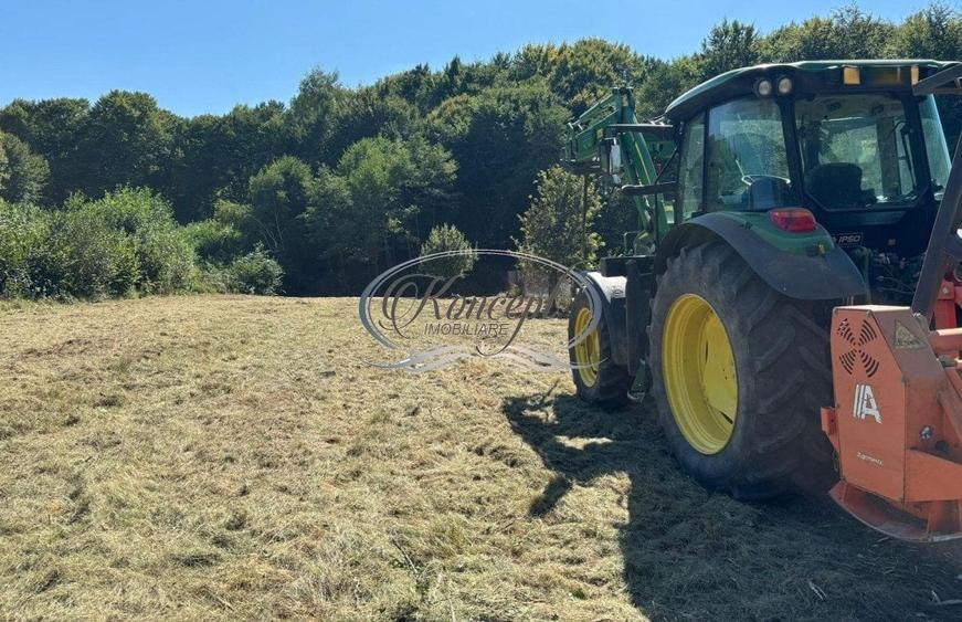 Teren cu potential pe Valea Caprioarei - 7