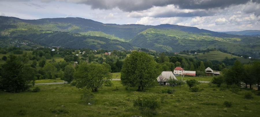 Teren Rogojel 15.000MP 8 EURO/MP - 1