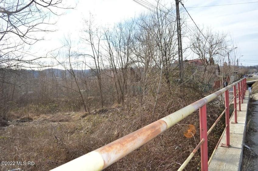 Valea Ursului - DN 7, Teren Stradal 2744 mp! - 11