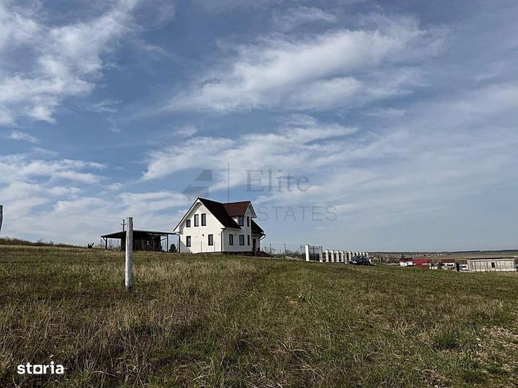 Teren intravilan 700 mp de vanzare in Paleu - 3