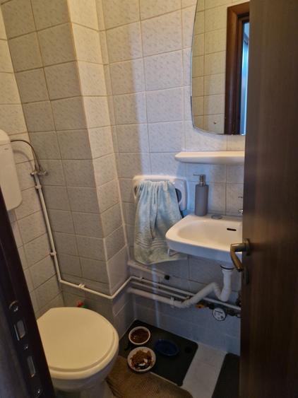 COLENTINA RAU, MAIOR BACILA IN PLAN SECUND, PARCUL PLUMBUITA LA 5MIN. - 16