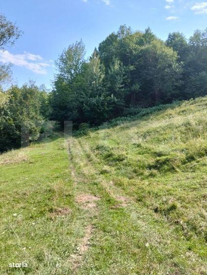 Teren generos de 70290 mp, 5045 mp intravilan, Poiana Ampoiului, Metes - 5