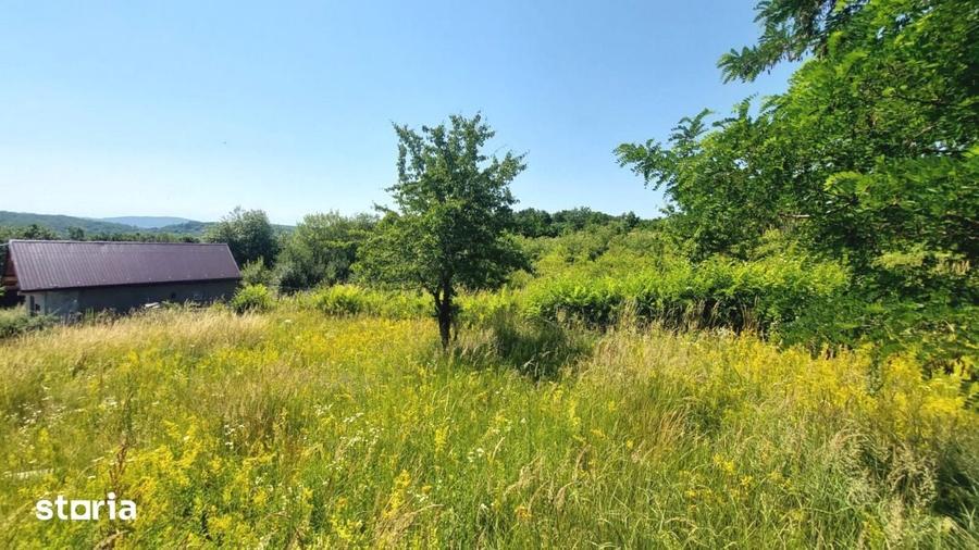 Casă cu Teren 933 Mp în Șura Mare