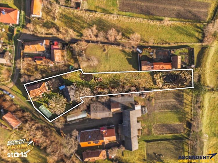 FILM! Casa cu sura, pivnita, balta cu pesti, 2.280 mp teren roditor, L - 17