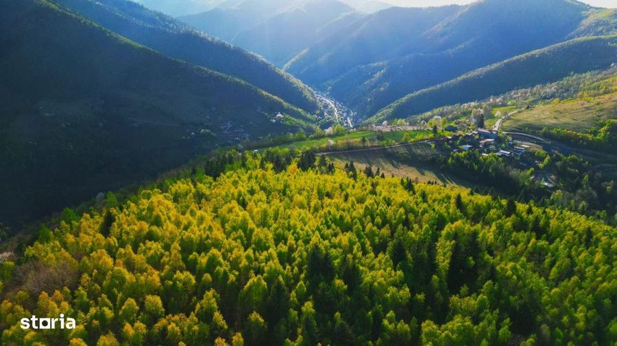Cabana de vanzare in Muntii Apuseni Valea Ierii, jud. Cluj - 3