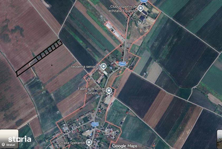 Teren 600 mp intravilan Voinesti Iasi - 2