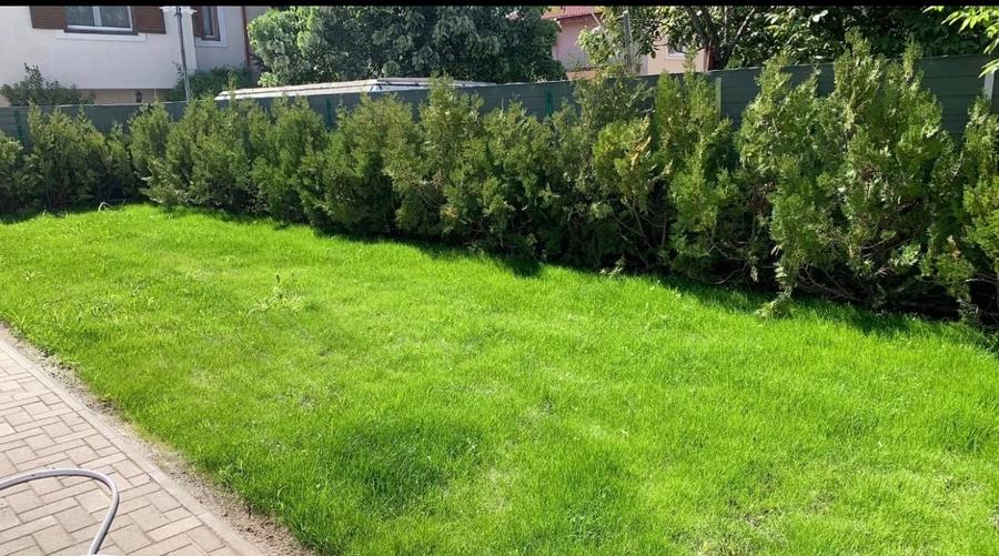 Vila individuală de închiriat în complex - Pipera - 8