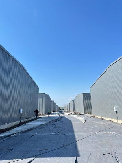 Hale in Afumati, in apropiere de Doraly - 2