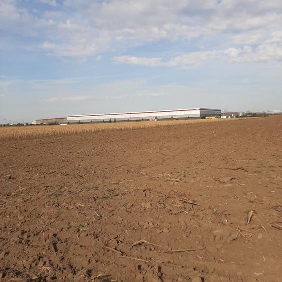 Teren, zona industriala, in Domnesti. Tarlaua 7, depozitele Logistics Park, A1 - 1