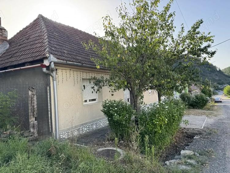 Vand casa Moniom Caras-Severin la 3 km de Resita - 1