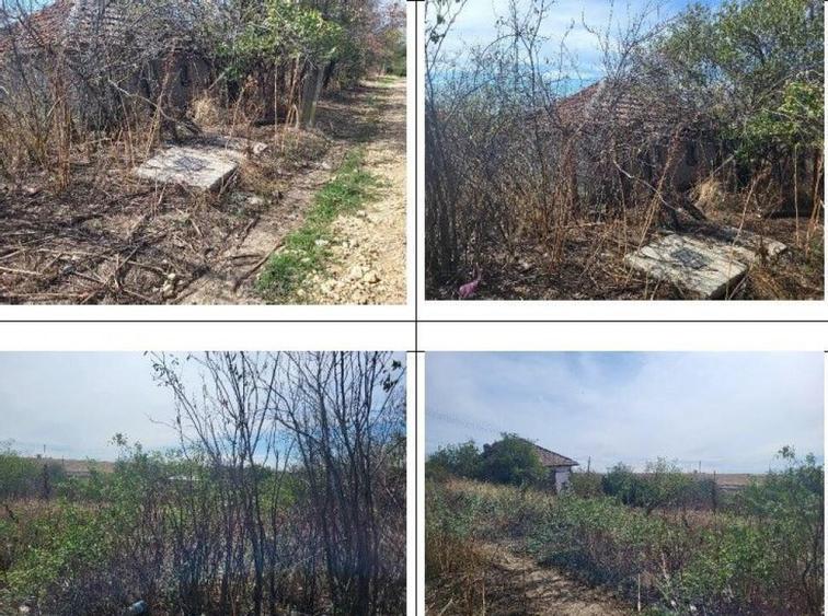 Casa si teren Sat Guruieni, cota parte de 1/2 , ID: R2319667 - 11