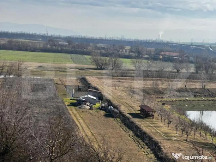 Teren extravilan 3100 mp cu ie?ire la raul Mure? - 3